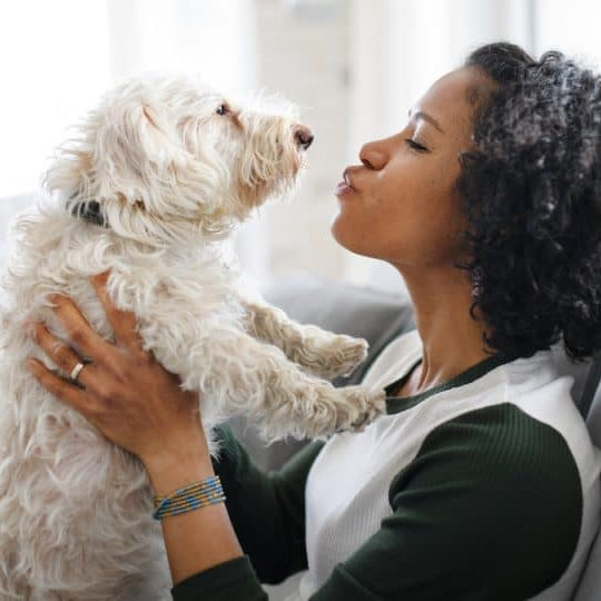 7 Creative Gift Ideas for Dog Lover You Need to See - Panvola