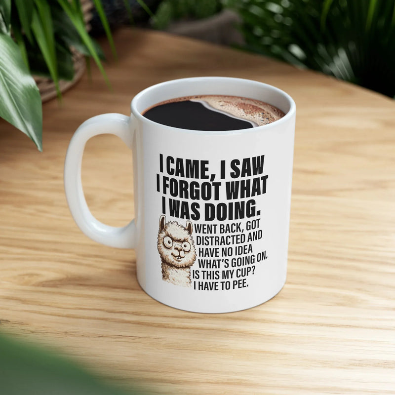 Personalized I Came I Saw I Forgot What I Was Doing Ceramic Mug 11 oz White - Panvola