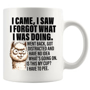 I Came I Saw I Forgot What I Was Doing Sarcastic Ceramic Mug 11 oz White.
