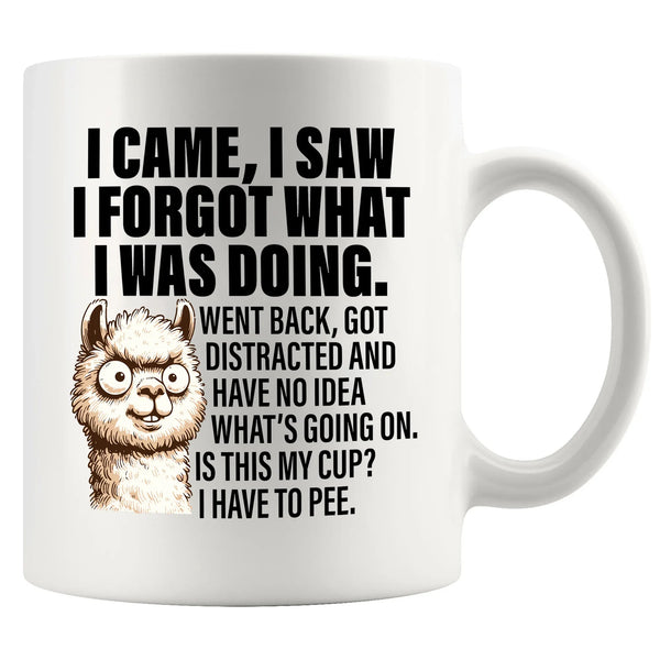 I Came I Saw I Forgot What I Was Doing Sarcastic Ceramic Mug 11 oz White