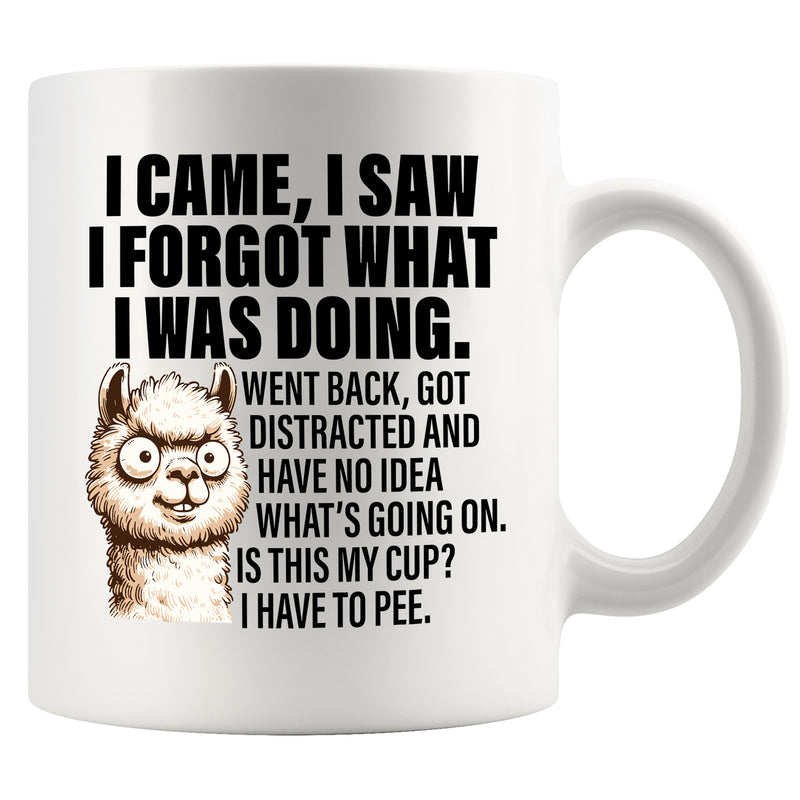 I Came I Saw I Forgot What I Was Doing Sarcastic Ceramic Mug 11 oz White.