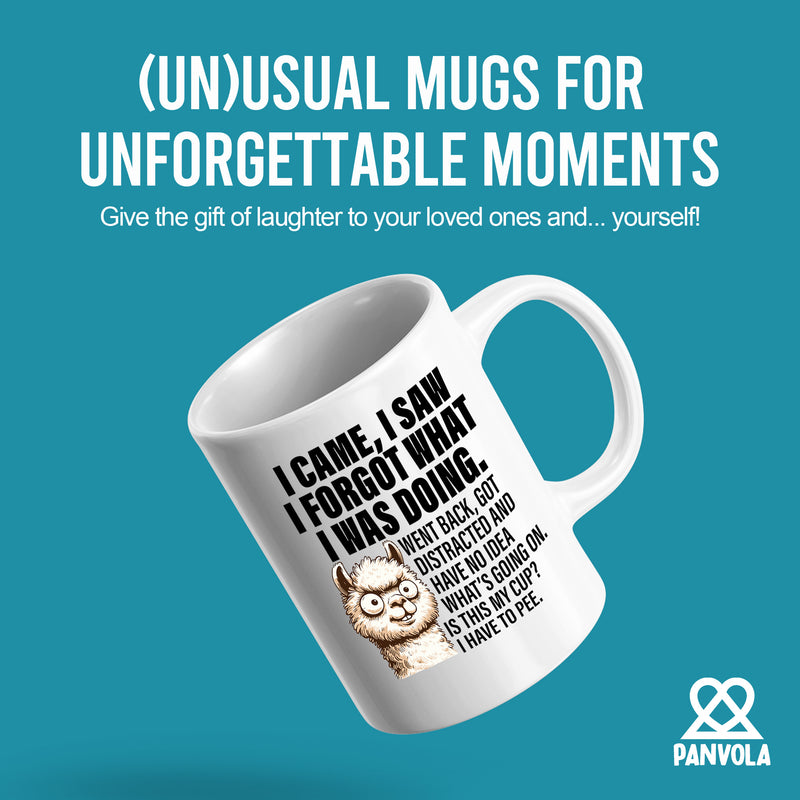 I Came I Saw I Forgot What I Was Doing Sarcastic Ceramic Mug 11 oz White.