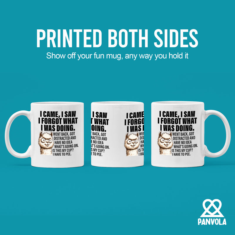 I Came I Saw I Forgot What I Was Doing Sarcastic Ceramic Mug 11 oz White.