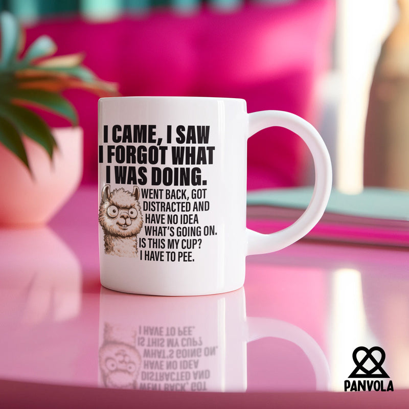 I Came I Saw I Forgot What I Was Doing Sarcastic Ceramic Mug 11 oz White.