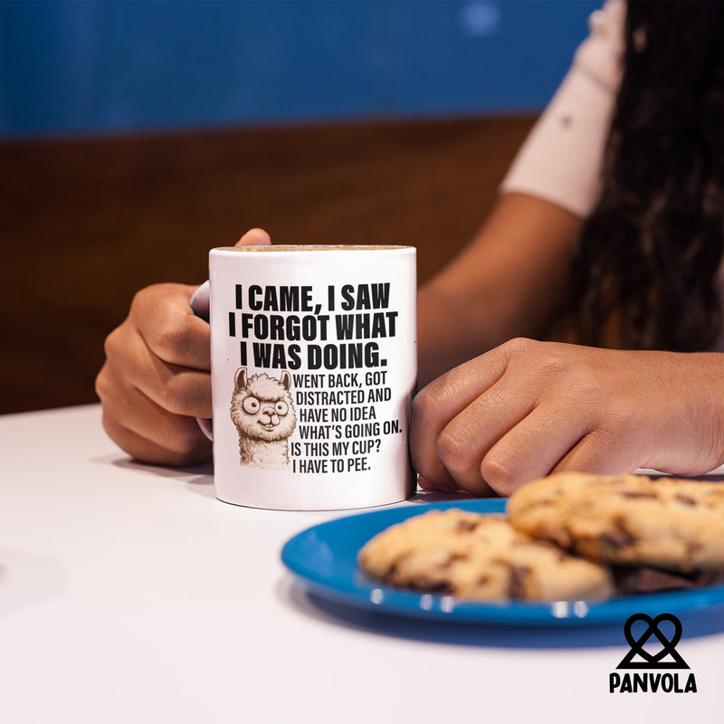 I Came I Saw I Forgot What I Was Doing Sarcastic Ceramic Mug 11 oz White.