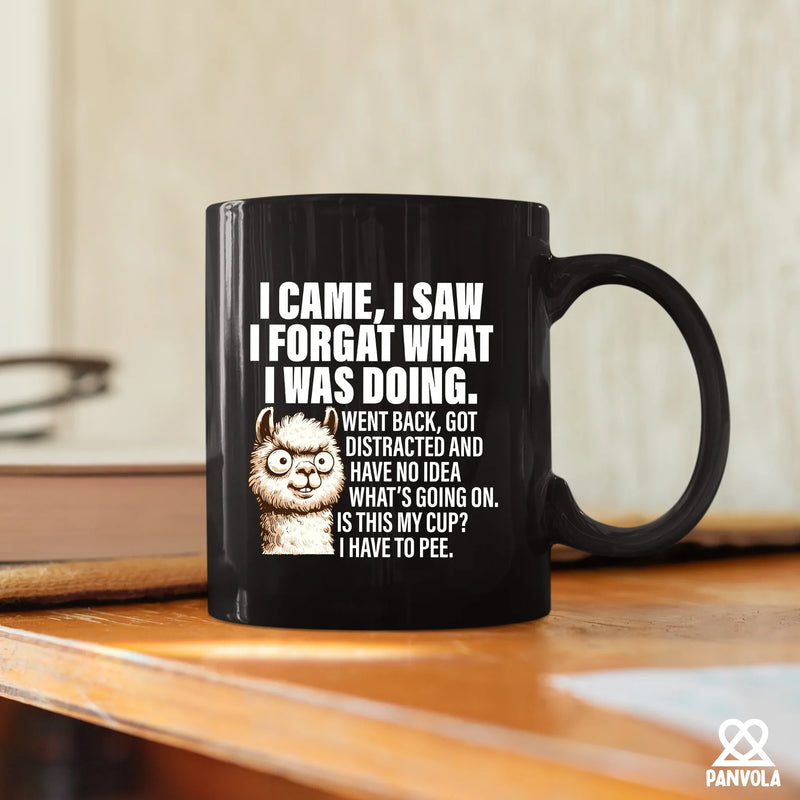 I Came I Saw I Forgot What I Was Doing Ceramic Mug 11 oz Black - Panvola