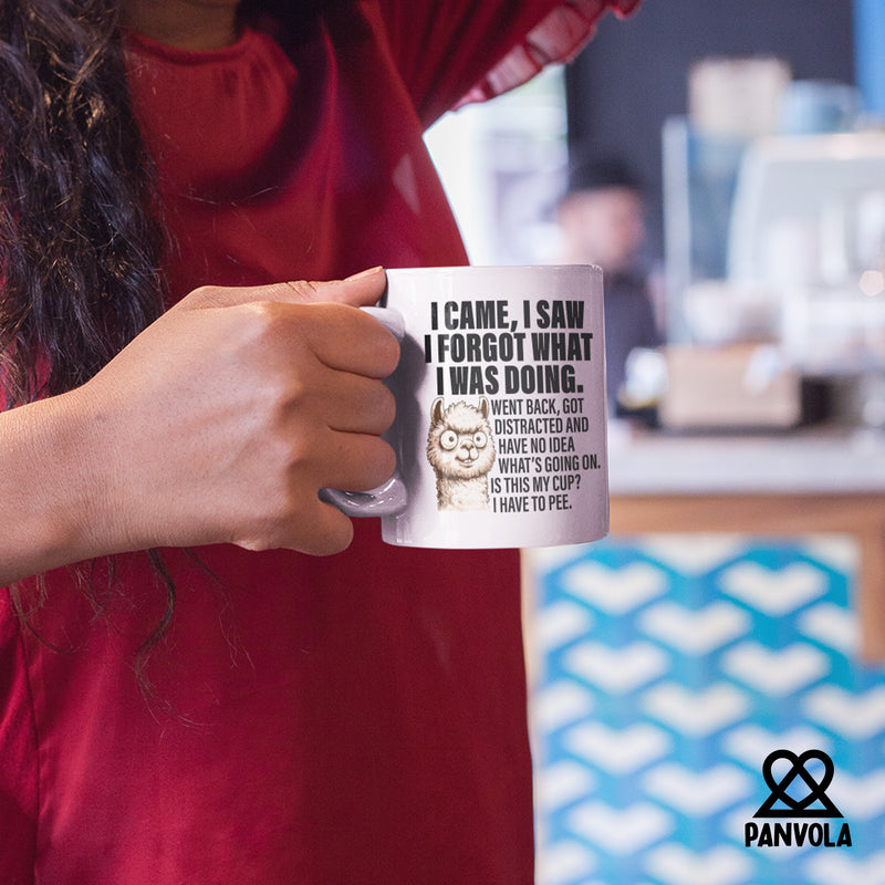 I Came I Saw I Forgot What I Was Doing Sarcastic Ceramic Mug 11 oz White.