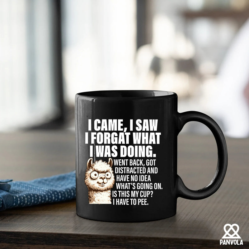 I Came I Saw I Forgot What I Was Doing Ceramic Mug 11 oz Black - Panvola