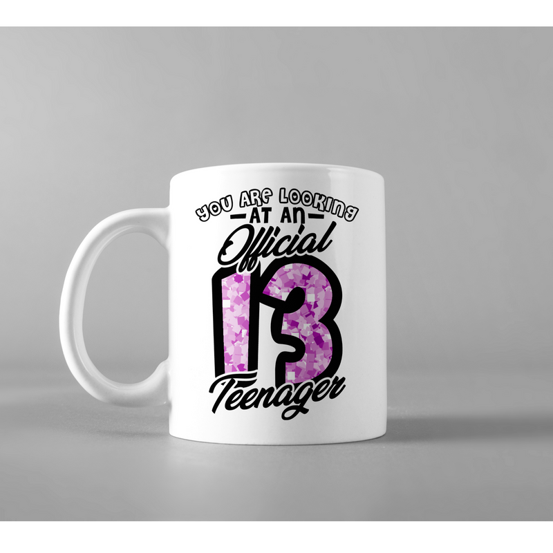You Are Looking At An Official Thirteen Teenager Appreciation Coffee Mug 11 oz